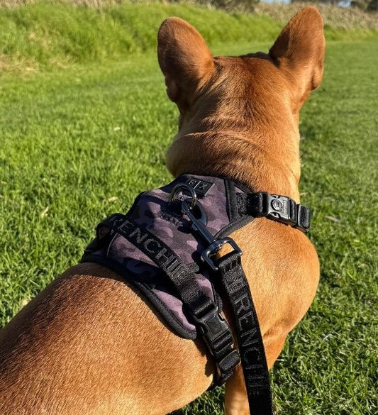 FX Flex Harness