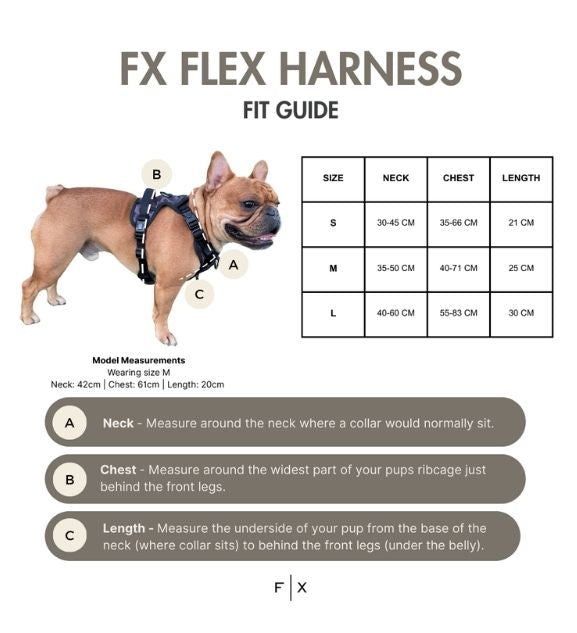 FX Flex Harness