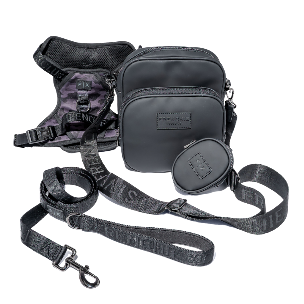 FX Essentials Set