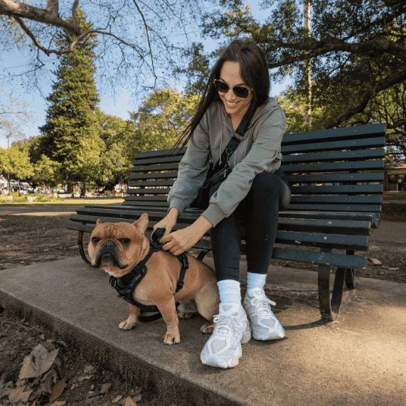 French Bulldog Harness and dog walking bag