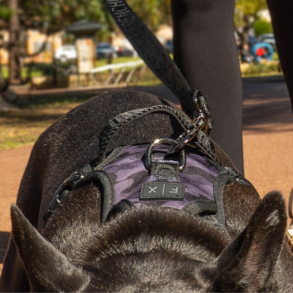 FX Flex Harness