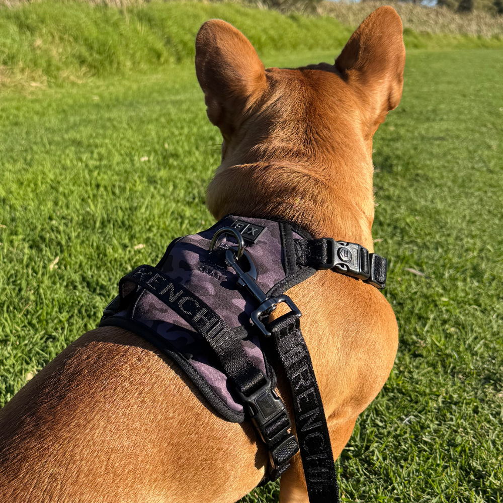 FX Flex Harness