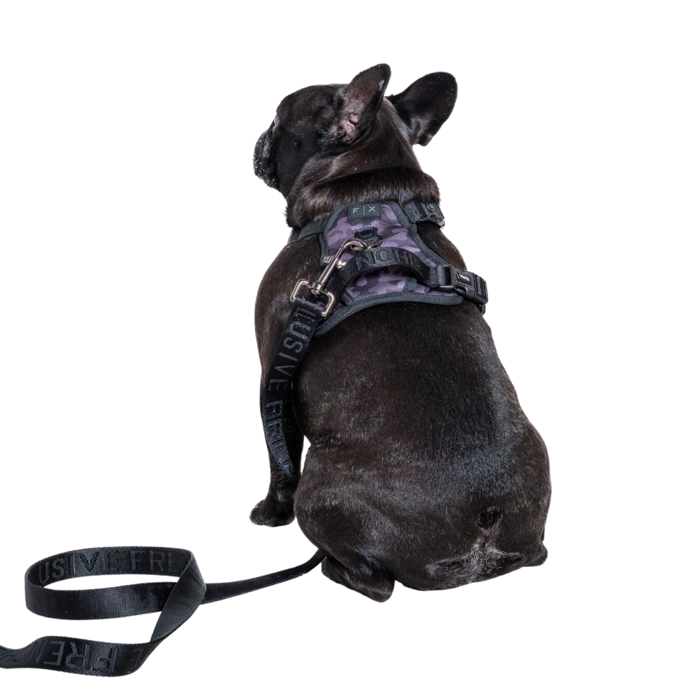 FX Flex Harness