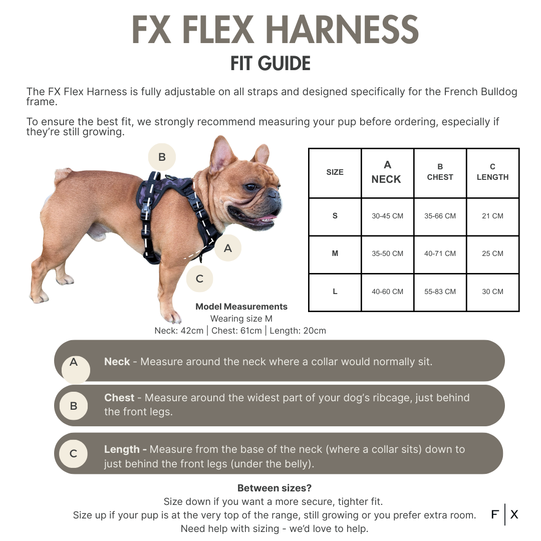 FX Essentials Set
