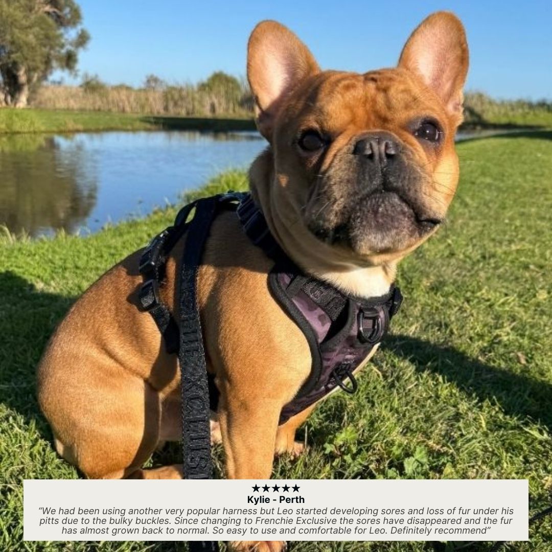 FX Flex Harness