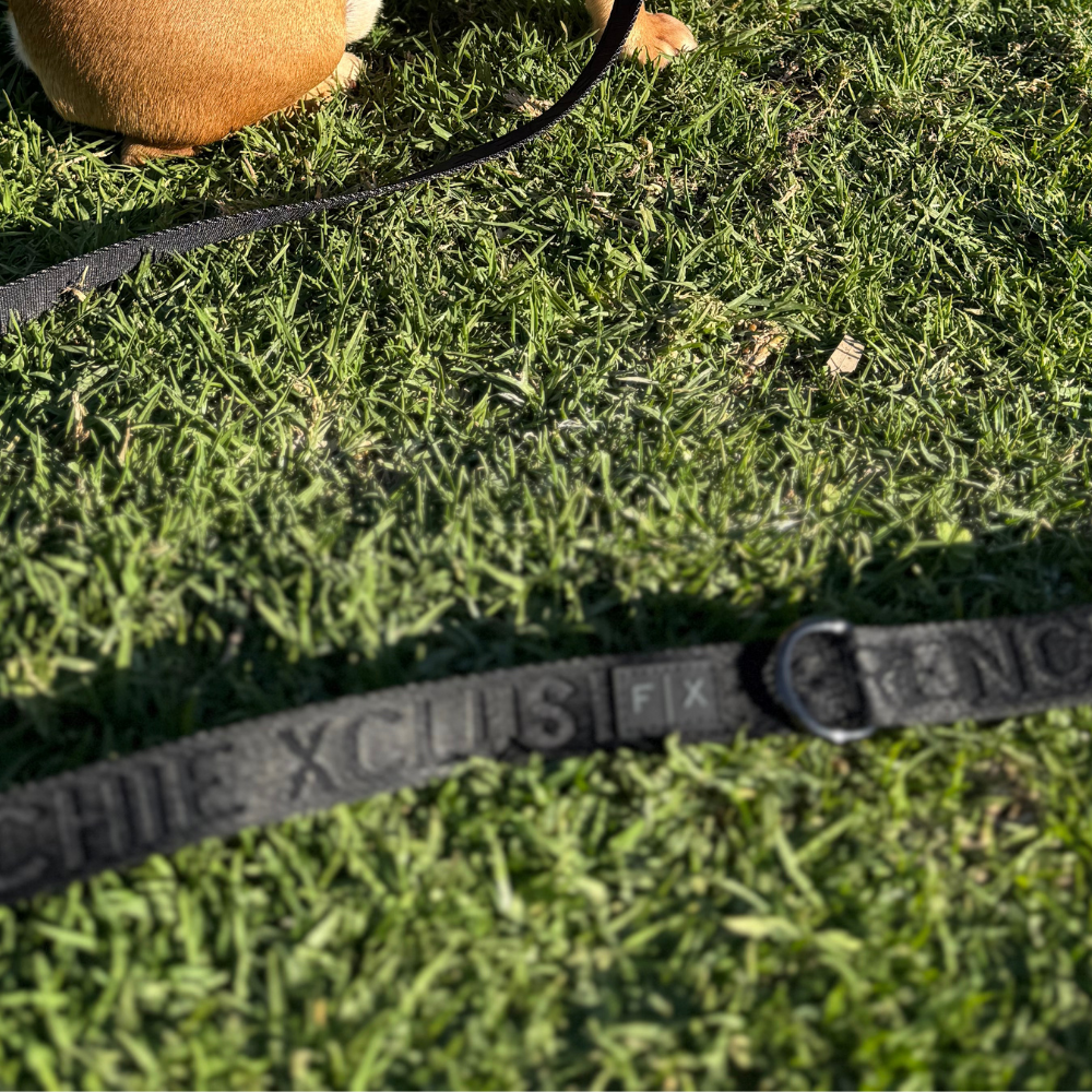 FX Leash