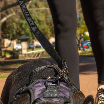 FX Leash