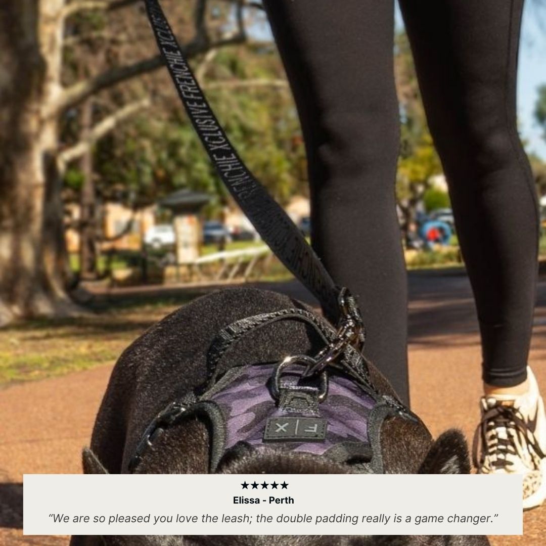 FX Leash