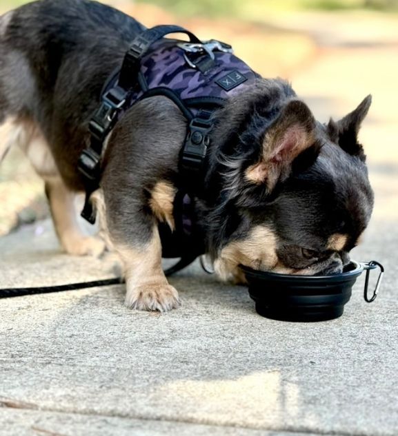 FX Hydration Pack