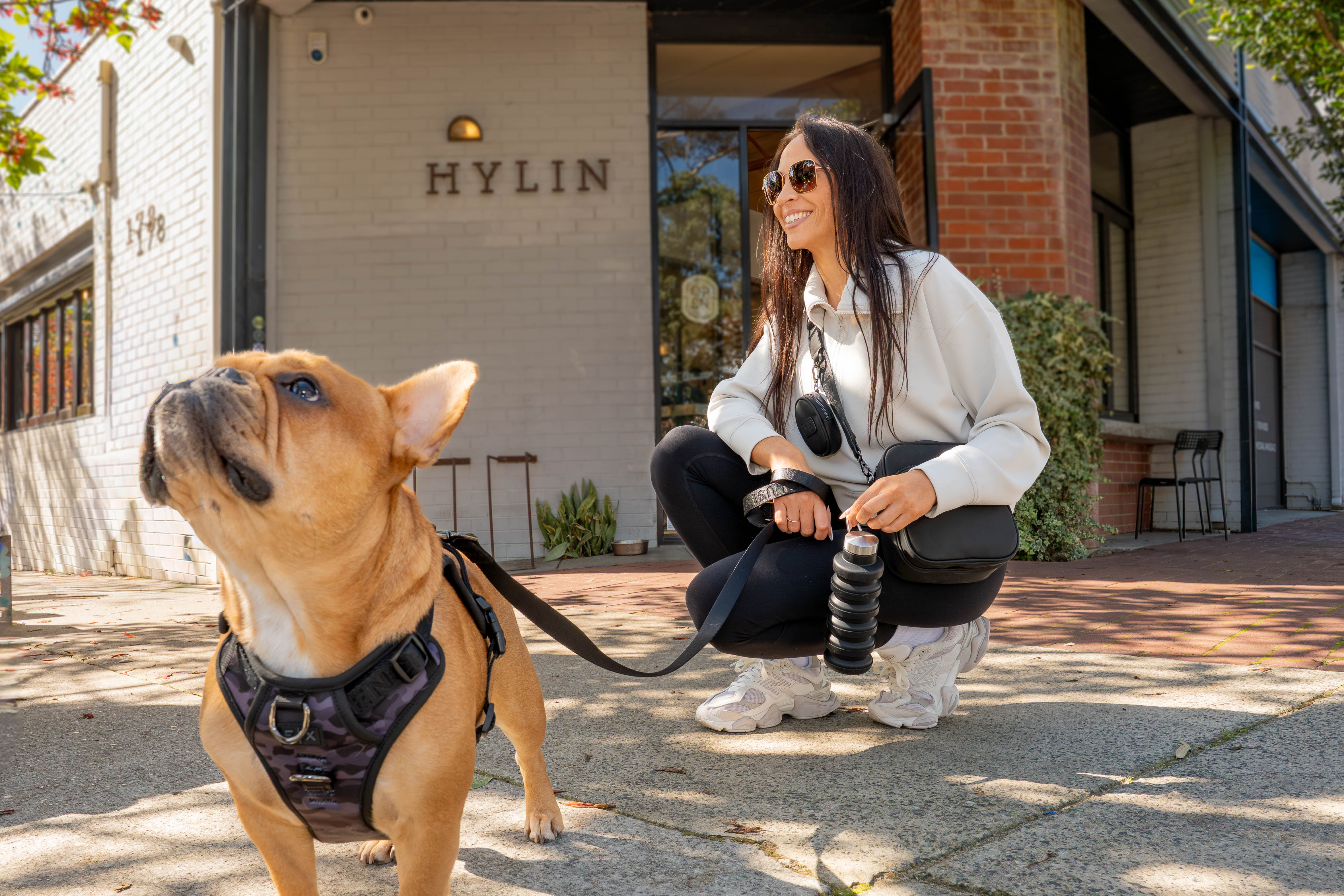 French Bulldog Harness and dog walking bag