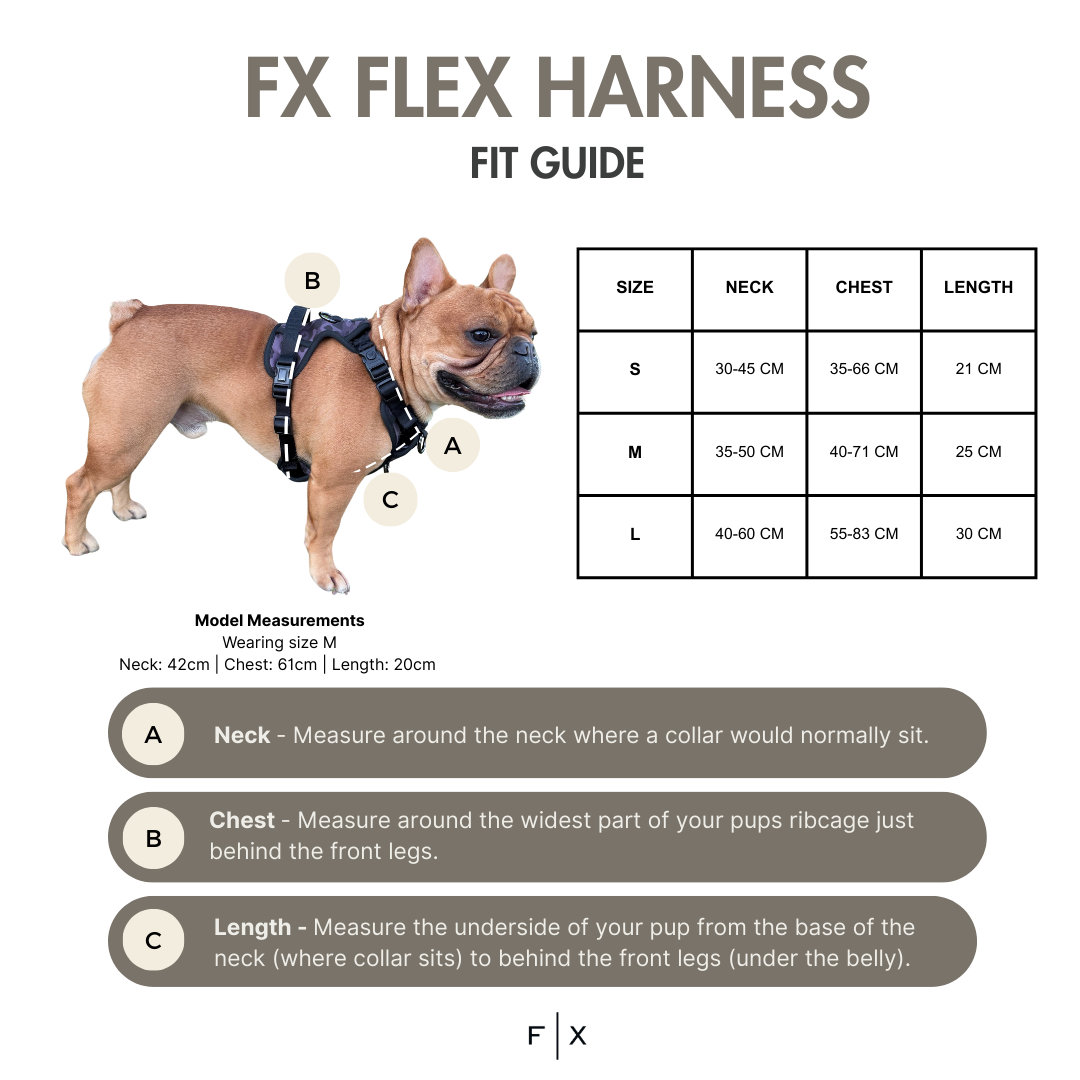 FX Flex Harness